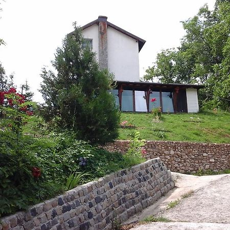 Pucioasa Casa Piscul Lupuluiヴィラ エクステリア 写真