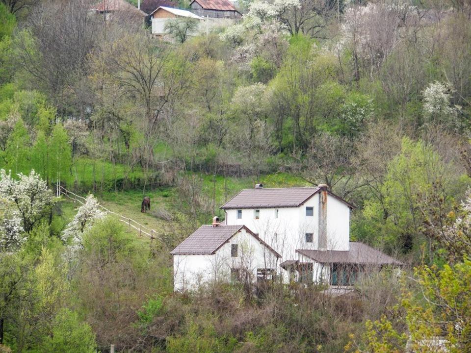 Pucioasa Casa Piscul Lupuluiヴィラ エクステリア 写真