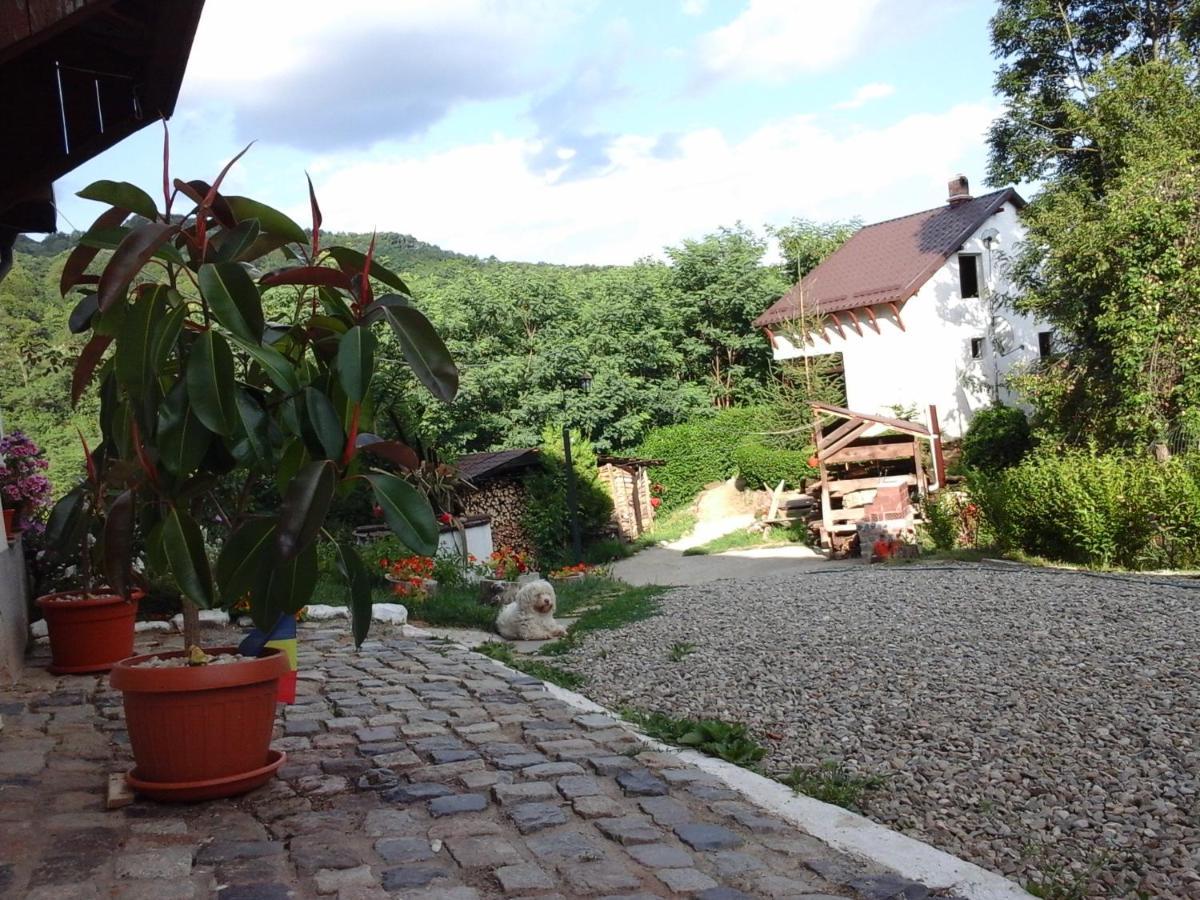 Pucioasa Casa Piscul Lupuluiヴィラ エクステリア 写真