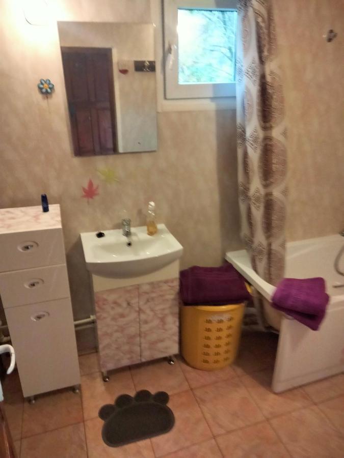 Pucioasa Casa Piscul Lupuluiヴィラ エクステリア 写真
