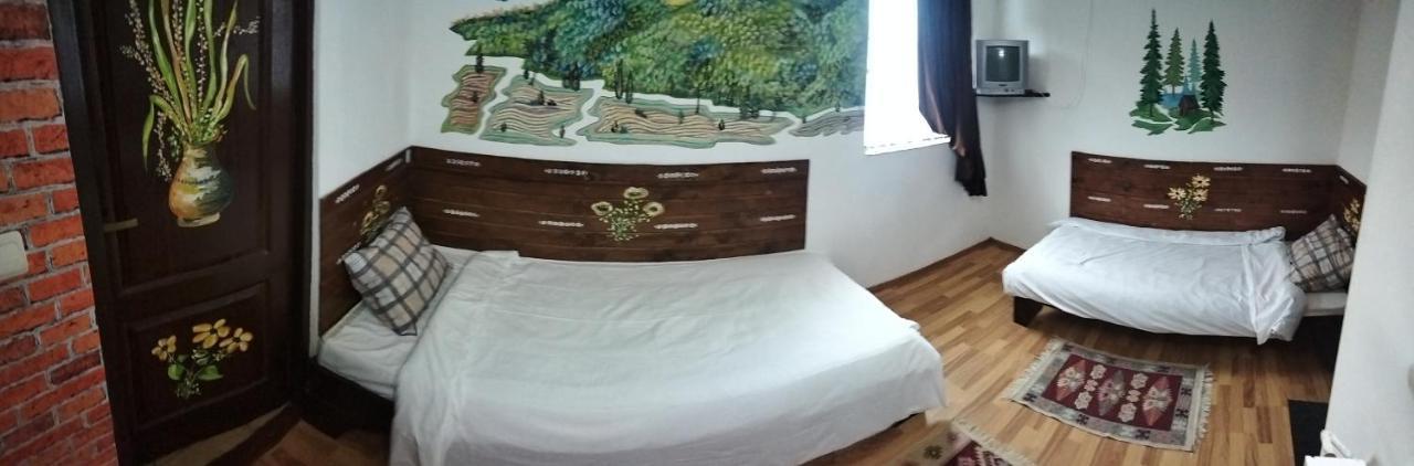 Pucioasa Casa Piscul Lupuluiヴィラ エクステリア 写真