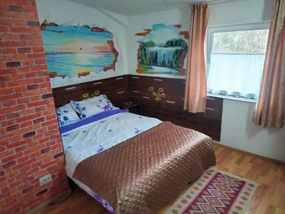 Pucioasa Casa Piscul Lupuluiヴィラ エクステリア 写真