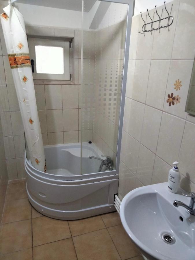 Pucioasa Casa Piscul Lupuluiヴィラ エクステリア 写真