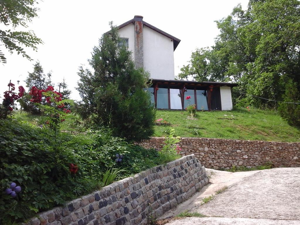Pucioasa Casa Piscul Lupuluiヴィラ エクステリア 写真