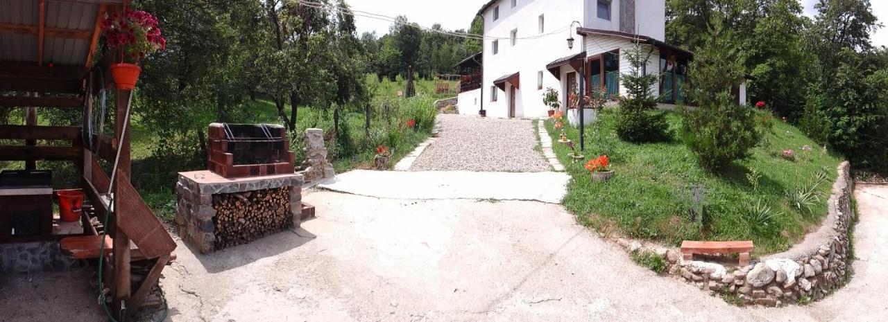 Pucioasa Casa Piscul Lupuluiヴィラ エクステリア 写真
