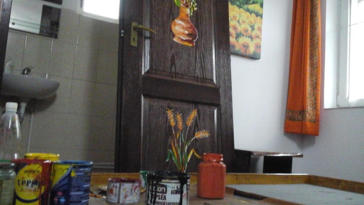 Pucioasa Casa Piscul Lupuluiヴィラ エクステリア 写真